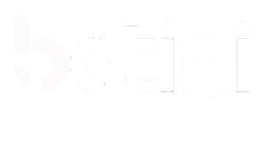 batiniconsulting.com